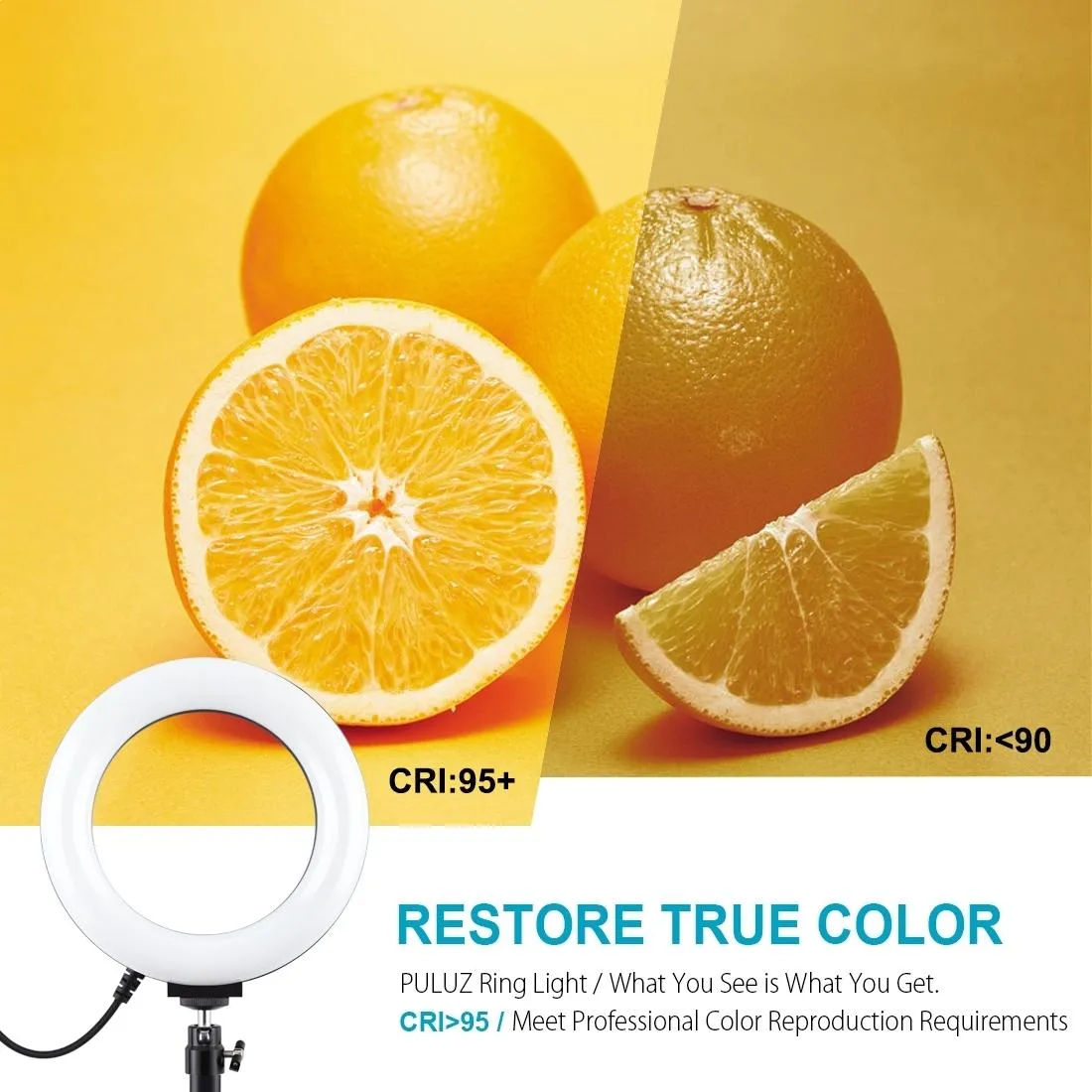 6.2" LED Ring Light with USB 3 Modes Dimmable | Desktop Tripod | Cold Shoe Ball Head